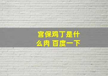 宫保鸡丁是什么肉 百度一下